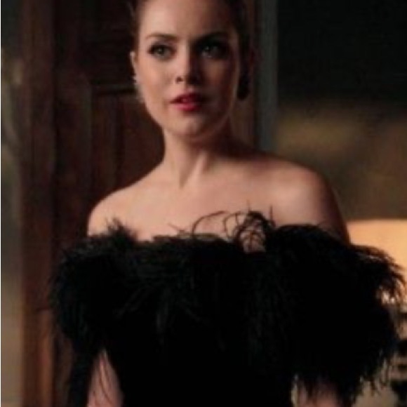 Vintage Velvet Gothic Gown with Feather Neckline - Picture 2 of 13